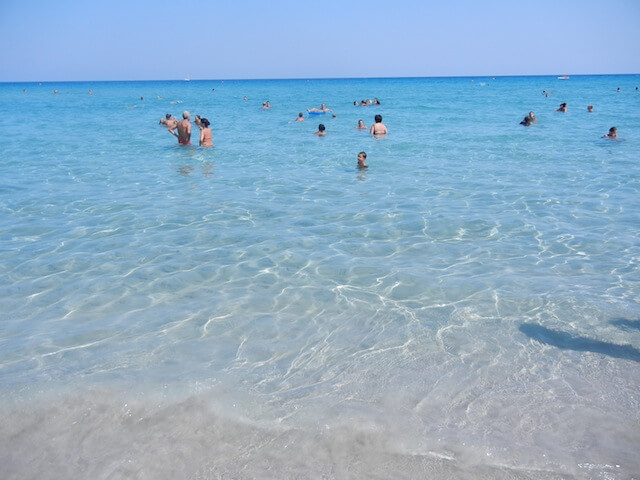 イタリアで日本食をふるまってみる