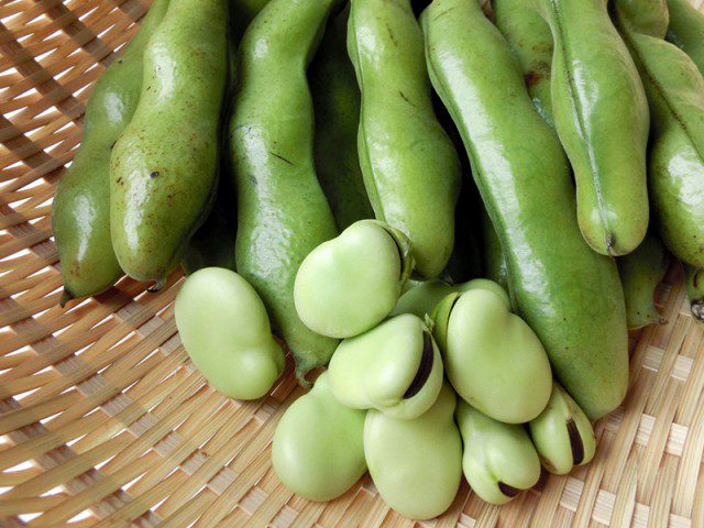 前菜からデザートまで！今が旬のそら豆レシピ