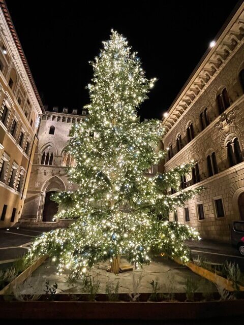 お客様から現地レポートを頂きました！シエナの学校と現在のクリスマス風景