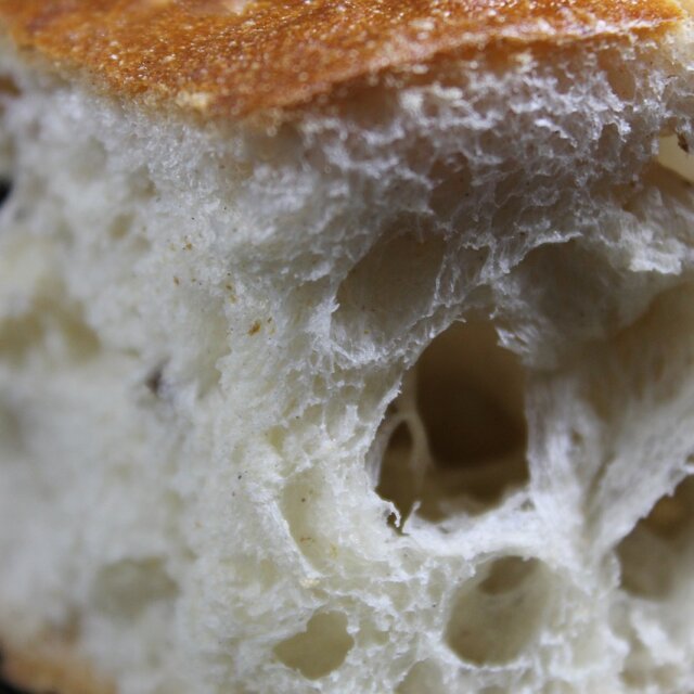 レシピ編:こねなくても美味しい、ふわふわイタリアンフォカッチャ
