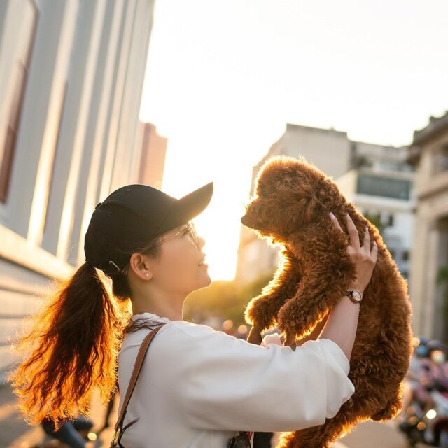 イタリアで見た動物のいる暮らし